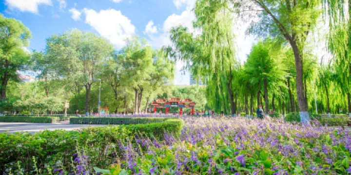 哈爾濱市道外區古梨園