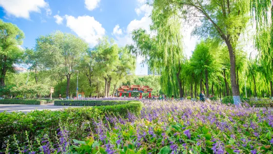 哈爾濱市道外區古梨園