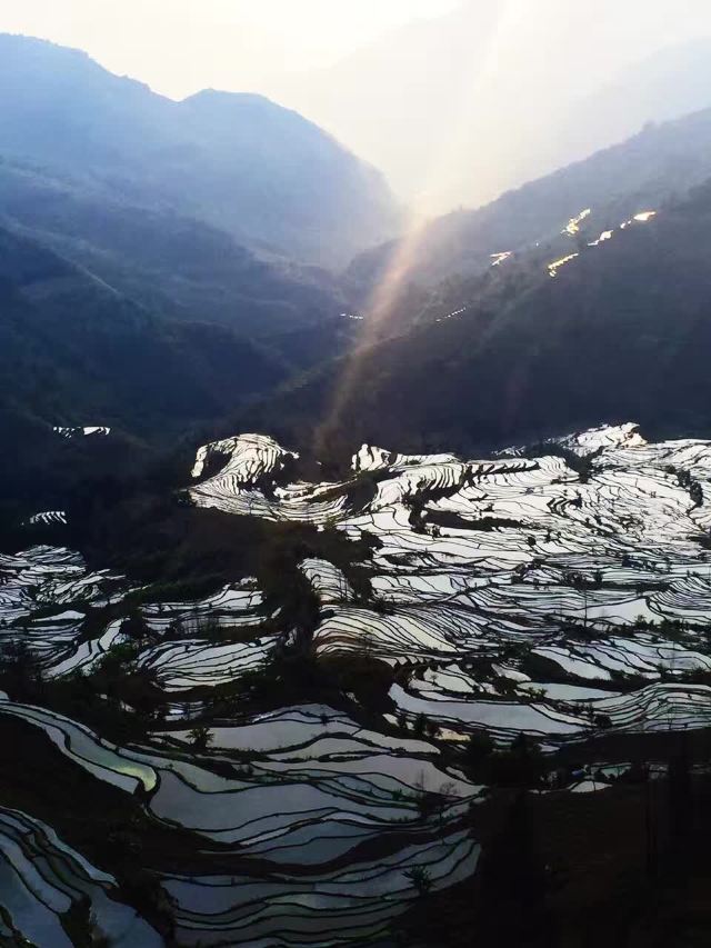 원양제전