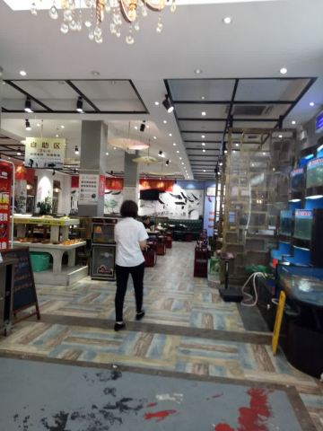 Gallery 3