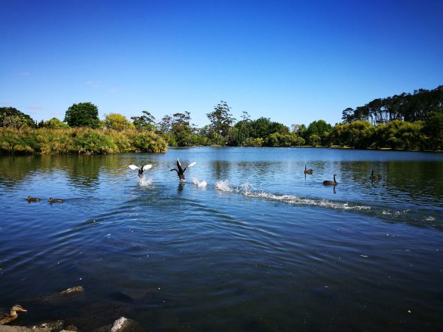 Western Springs Lakeside Park