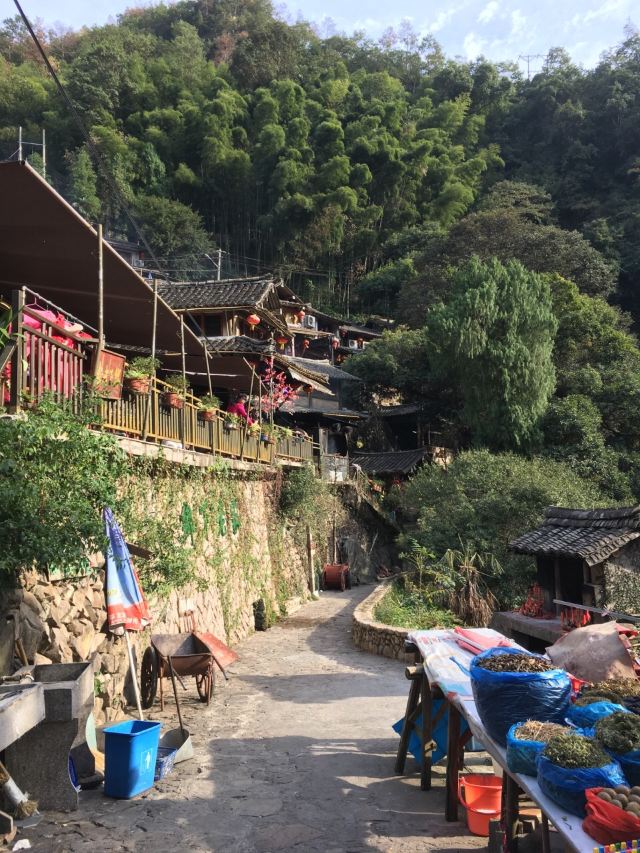 링상 인가