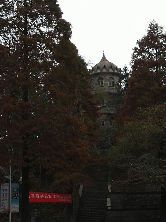 수탉 산