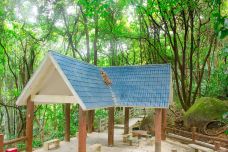 天鹿湖森林公园-广州-doris圈圈