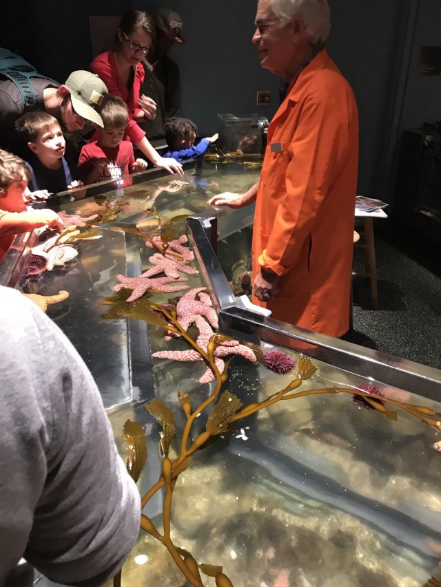 California Academy of Sciences