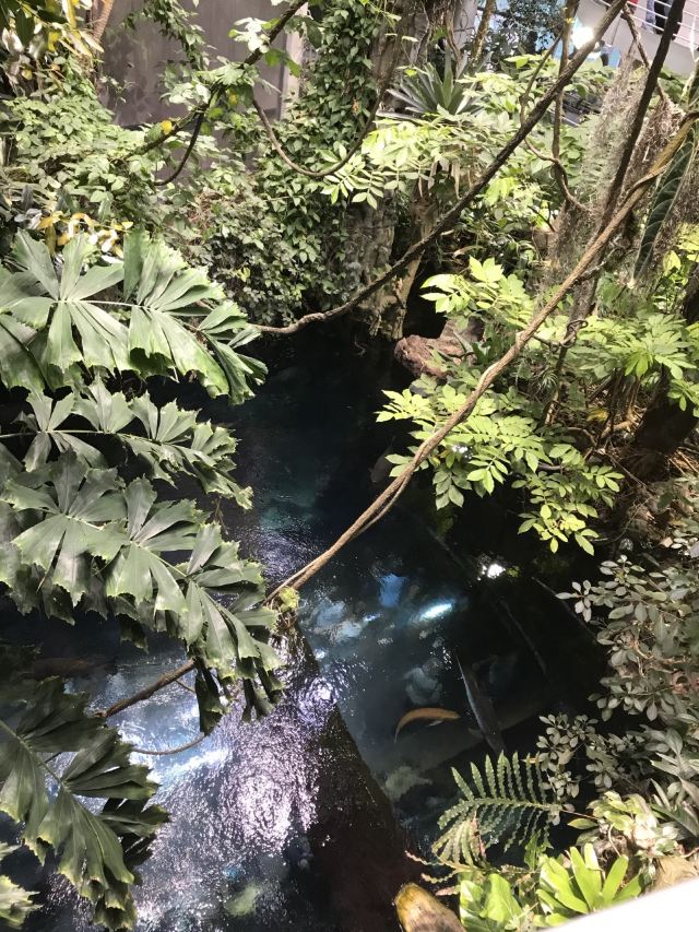 California Academy of Sciences
