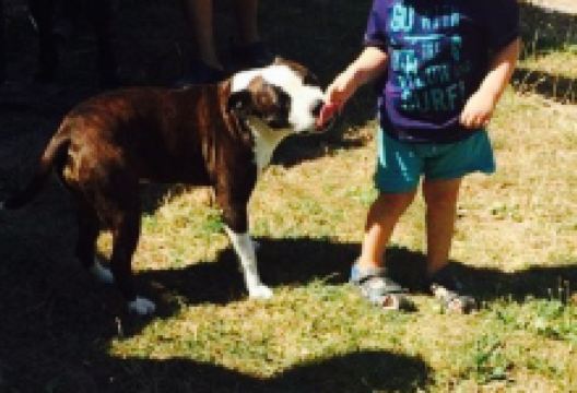 Da Simona美食图片