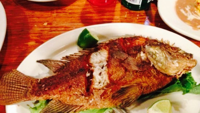 El Paraiso Restaurant餐厅图片