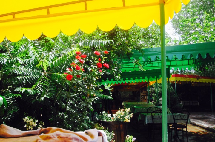 Ursus Cafe