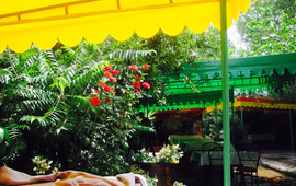 Ursus Cafe