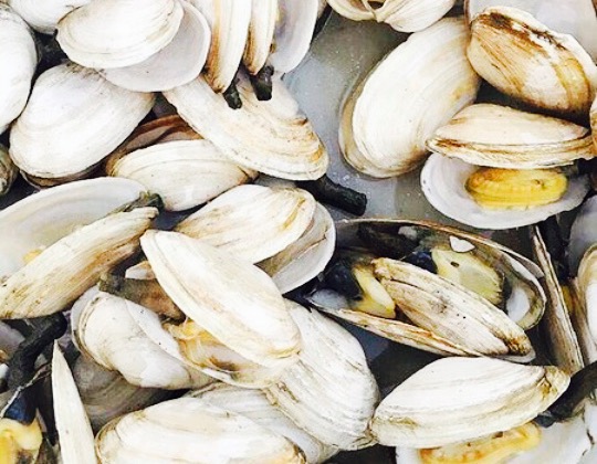 Little Harbor Lobster Company