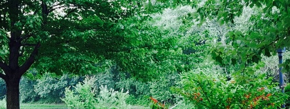 Bart's Drive-In餐厅图片