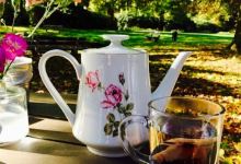 Petit Cafe De Oranjerie美食图片
