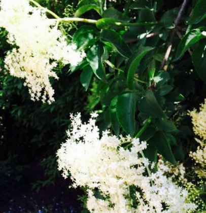 Stockmann's Restaurant餐厅图片