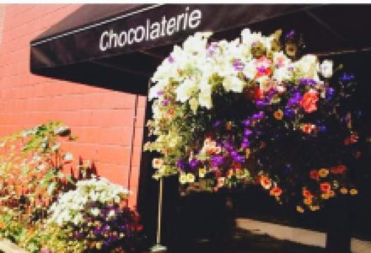 Mountain Nugget Chocolate Company美食图片