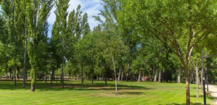 Restaurante La Isla餐厅图片