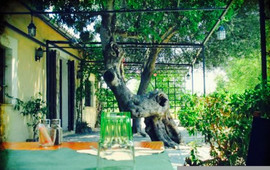 Restaurant de Canet