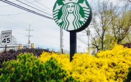 Starbucks
