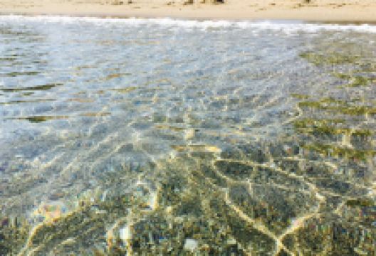 Garifalo Snack Bar美食图片