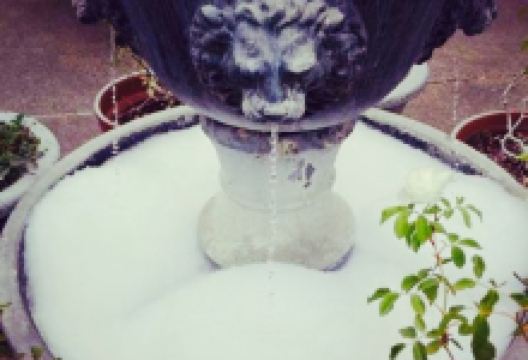 Coffee Catz美食图片