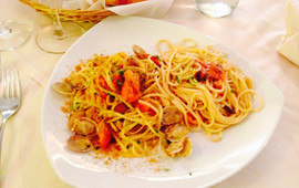 Cibo Qibo