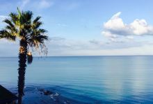 La Falaise美食图片