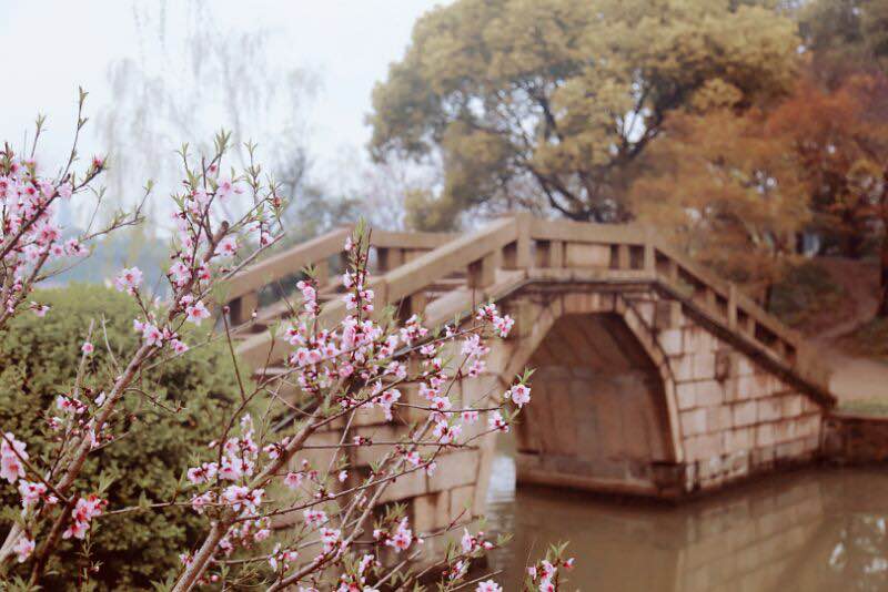 绝味鸭脖(铁山路店)餐厅图片