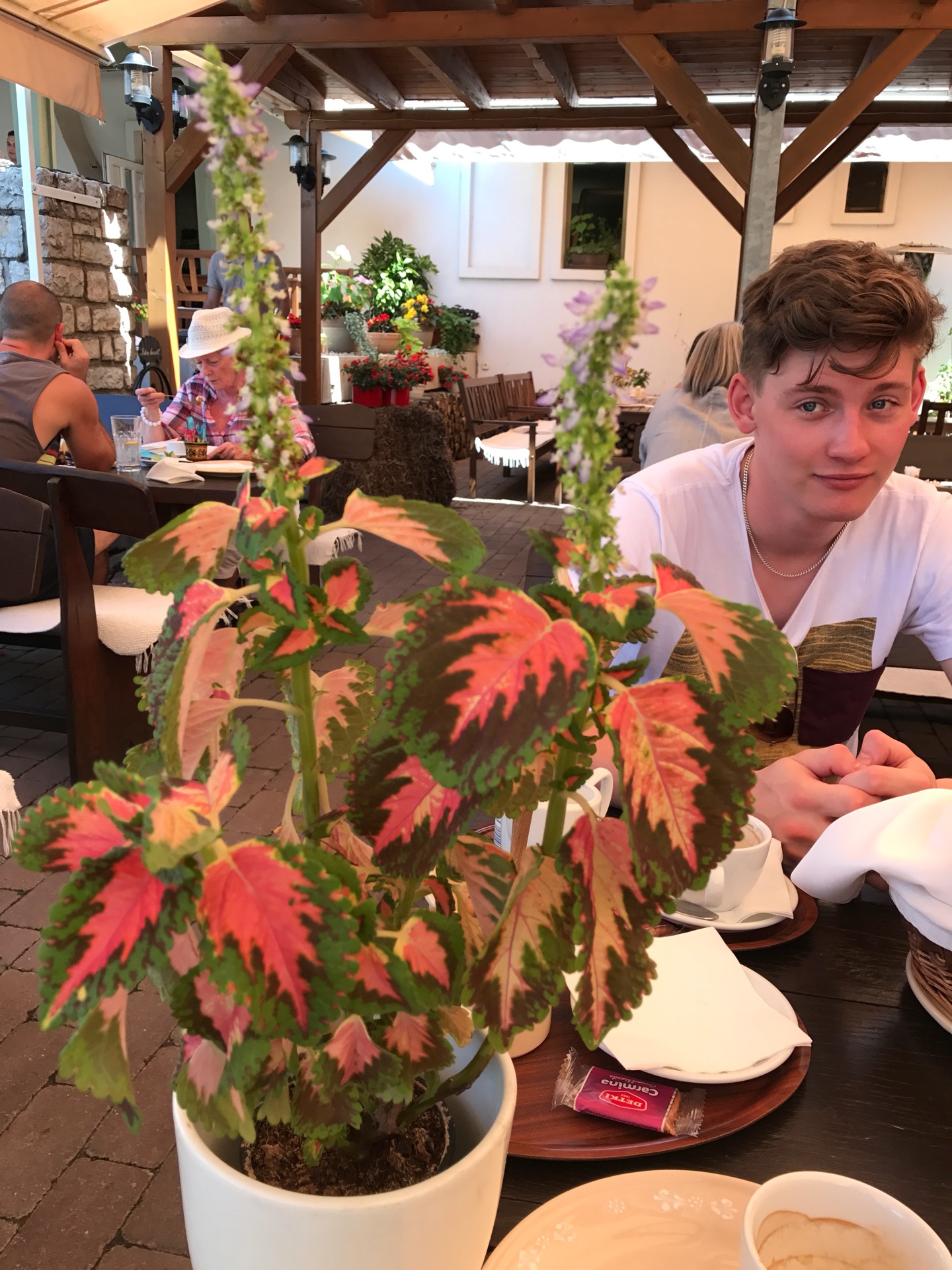 Víg Molnár Hungarian Restaurant