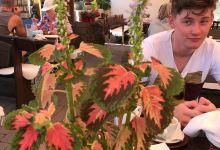 Víg Molnár Hungarian Restaurant美食图片