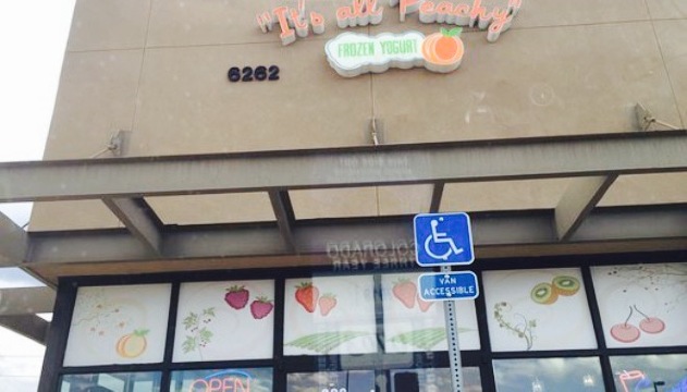 Its All Peachy Frozen Yogurt