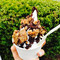 Charlie's Raw Squeeze Ashgrove