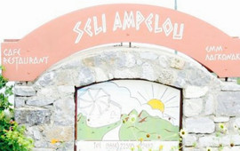 Seli Ampelou Restaurant