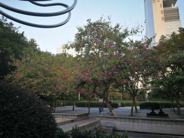 Kowloon Park