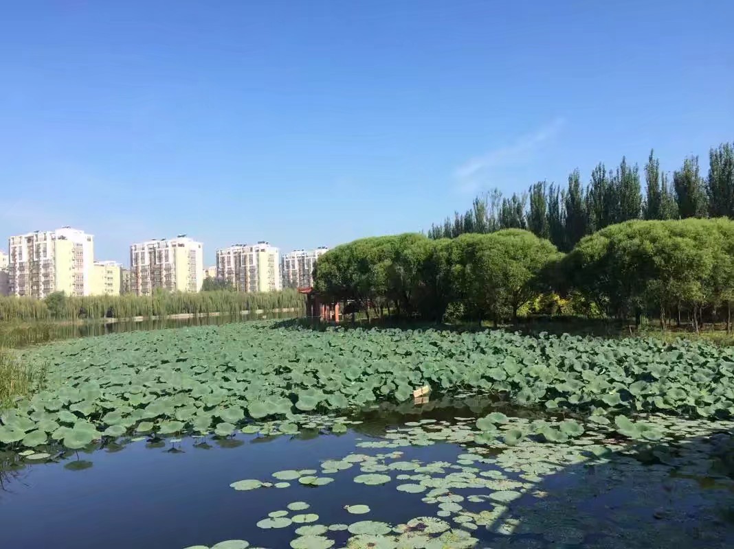 南湖公园
