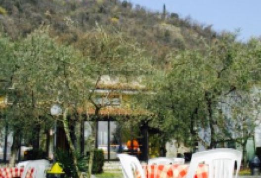 Trattoria del Sole美食图片