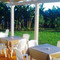 Mogote Cafe