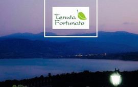 Tenuta Fortunato