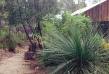 Goanna Bush Cafe美食图片