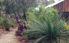 Goanna Bush Cafe餐厅图片
