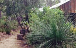 Goanna Bush Cafe