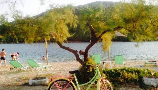 Porto Libre餐厅图片