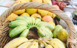 Fruibies