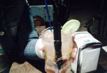 Gilligams Irish Tavern美食图片