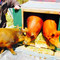 Au Cochon Rouge
