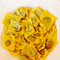 Trattoria da Massimo