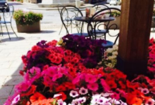 Bar Roccella美食图片