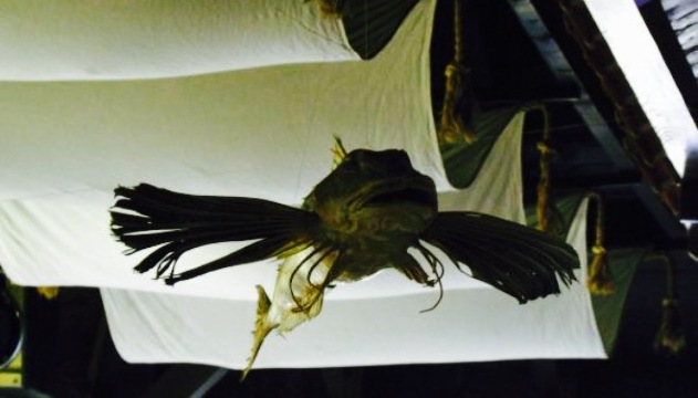 FLAGMAN Restaurants餐厅图片