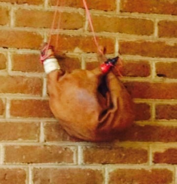 D'Jordis餐厅图片