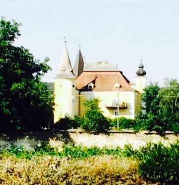 Schloss Muhldorf餐厅图片