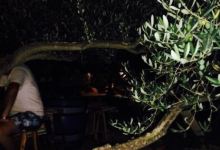 Masline Olive Garden Bar美食图片